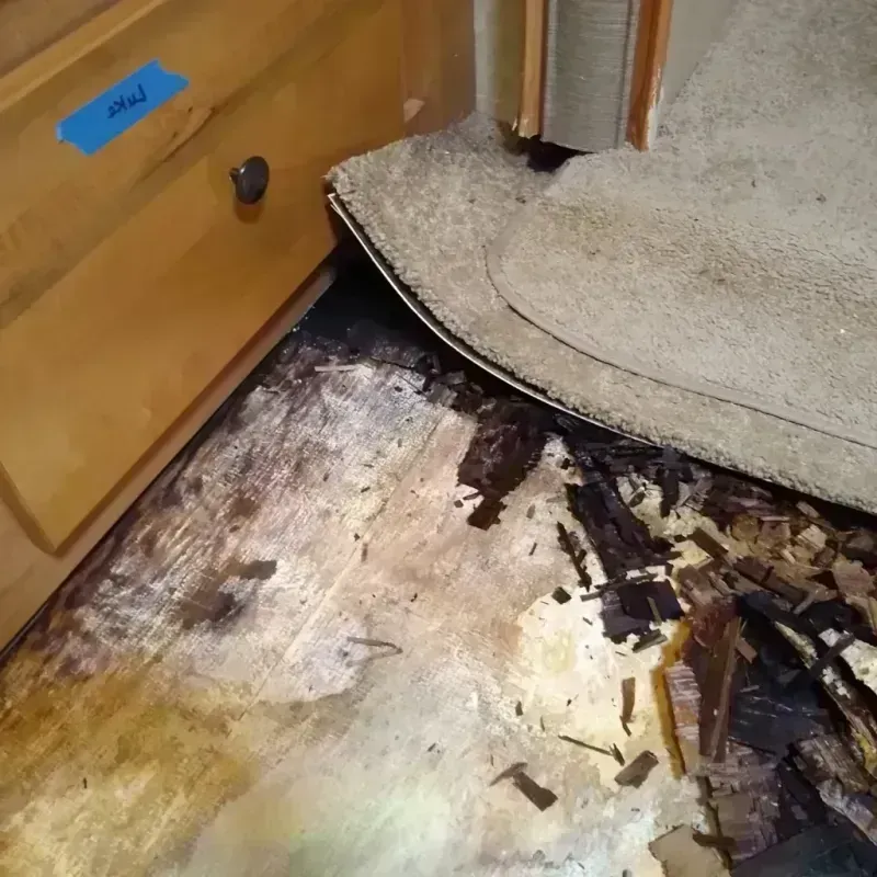 Wood Floor Water Damage in Warren, MN